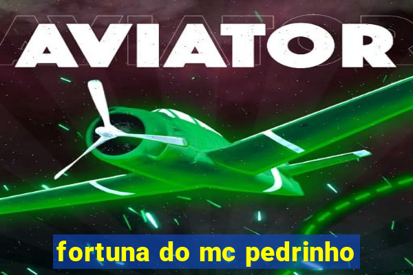 fortuna do mc pedrinho