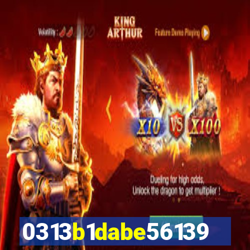 qin2023