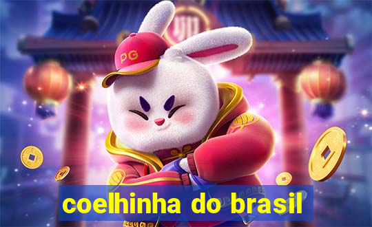 coelhinha do brasil