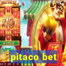 pitaco bet