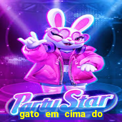 gato em cima do telhado significado espiritual