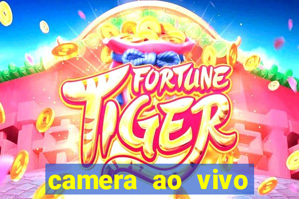 camera ao vivo beto carrero
