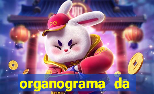organograma da cacau show