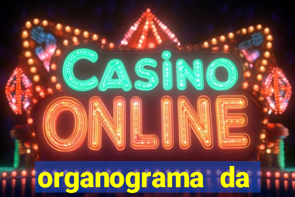 organograma da cacau show