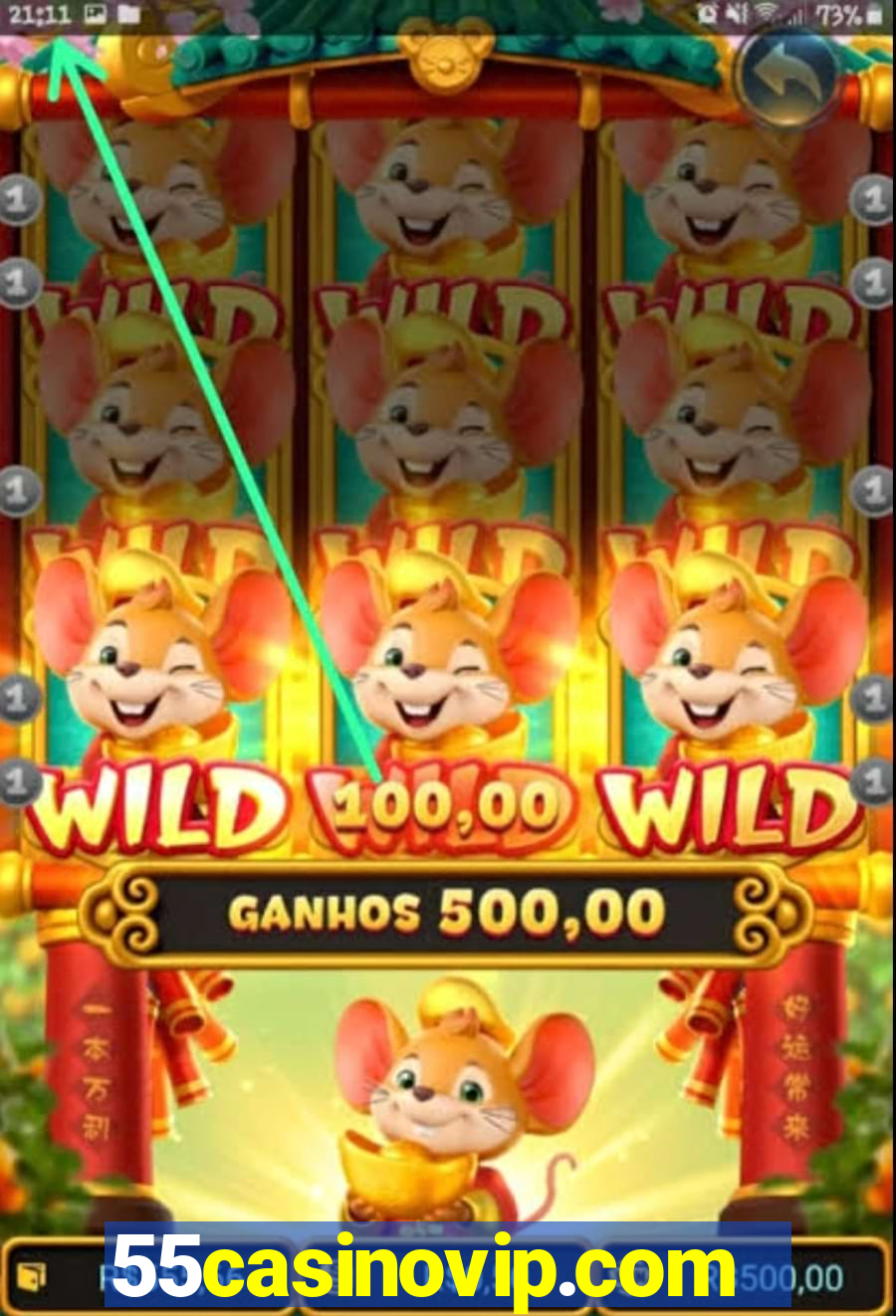 55casinovip.com