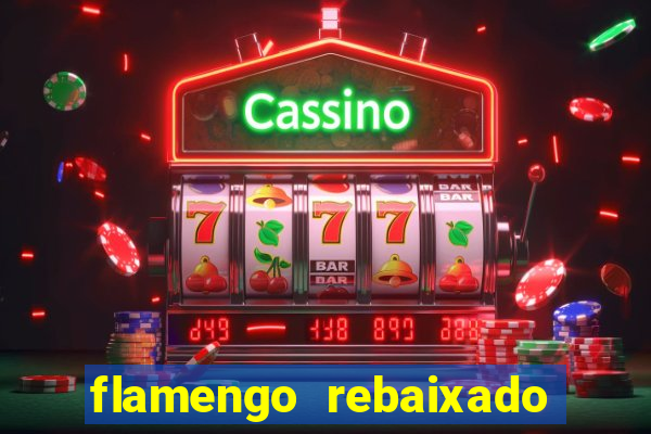 flamengo rebaixado em 1995