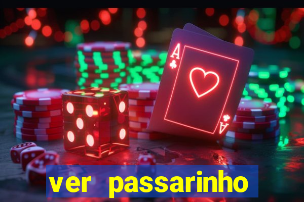 ver passarinho morto significado