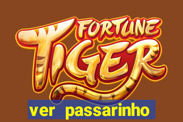 ver passarinho morto significado