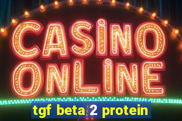 tgf beta 2 protein