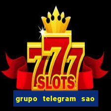 grupo telegram sao jose do rio preto