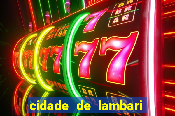 cidade de lambari sao paulo