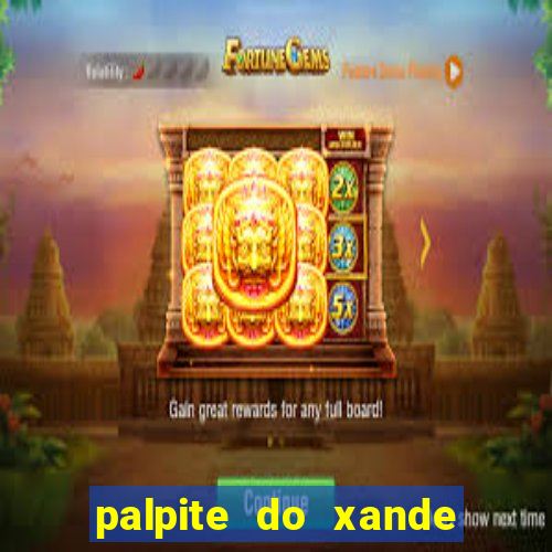 palpite do xande de hoje