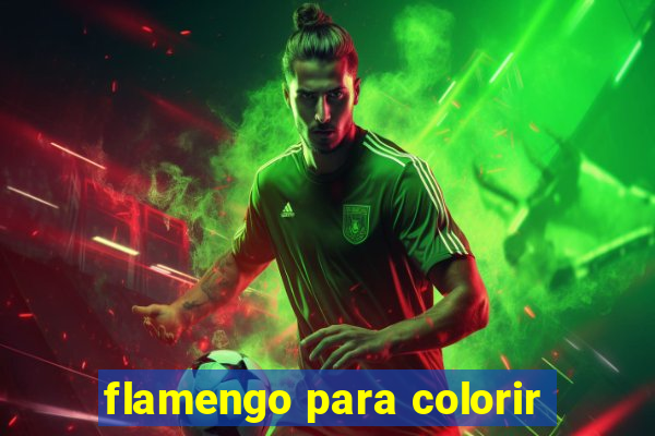 flamengo para colorir