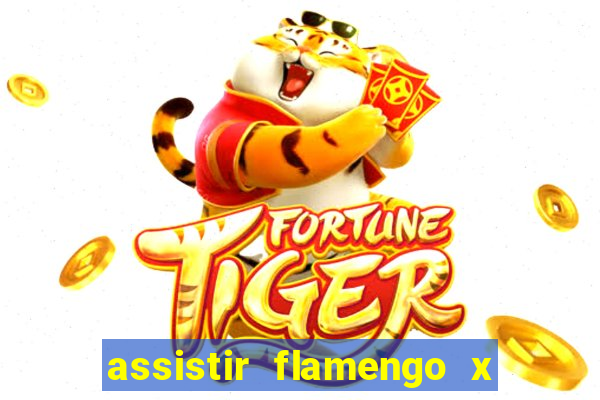 assistir flamengo x atletico mg futemax