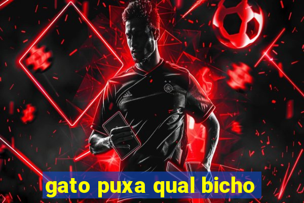gato puxa qual bicho