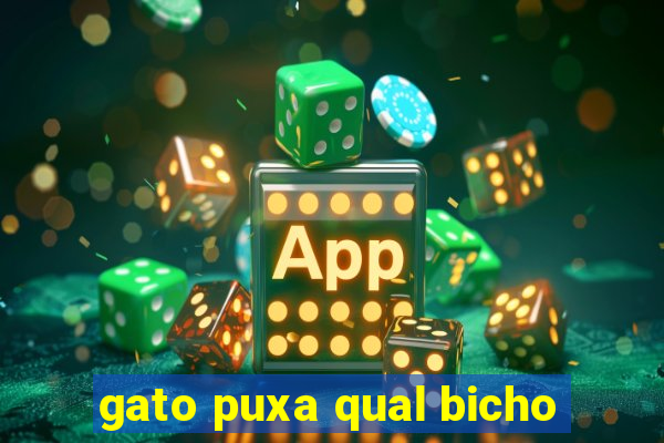 gato puxa qual bicho