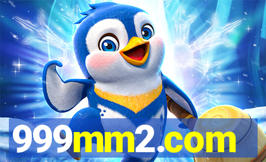 999mm2.com