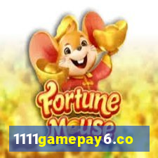 1111gamepay6.com