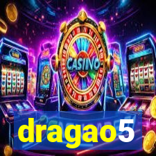 dragao5