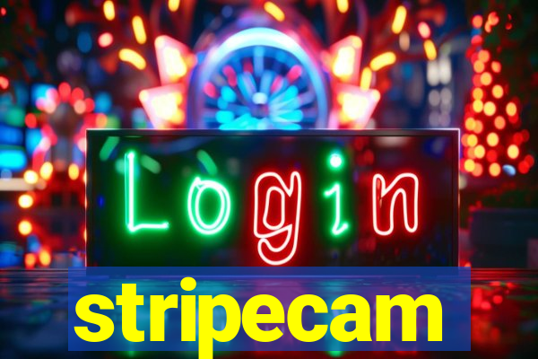 stripecam
