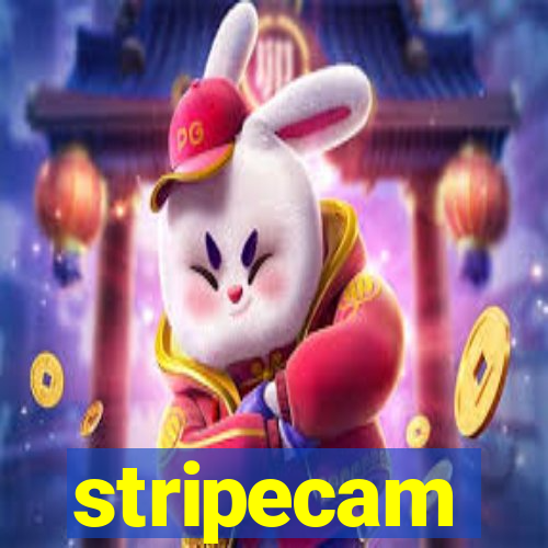 stripecam
