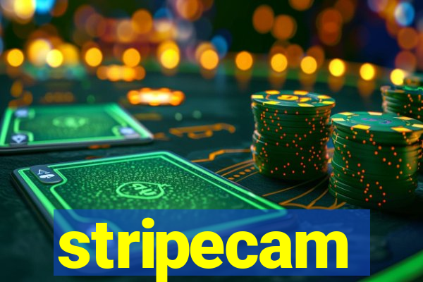 stripecam