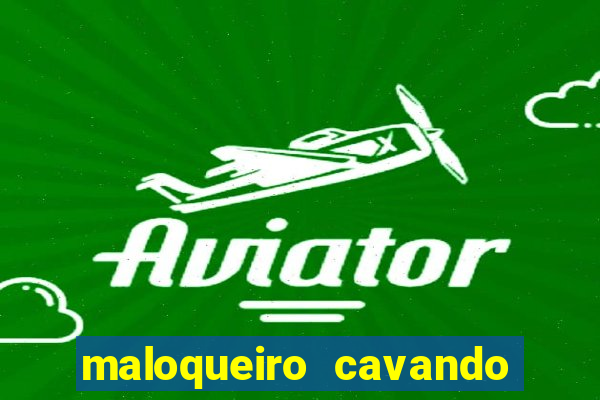 maloqueiro cavando sua cova portal zacarias