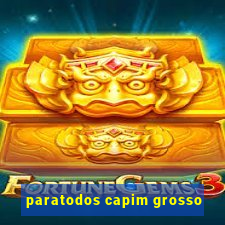 paratodos capim grosso