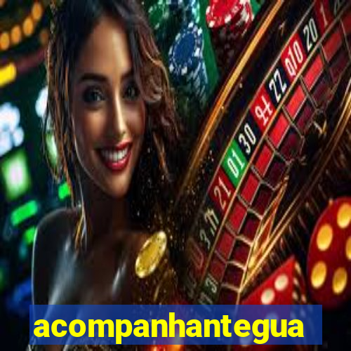 acompanhanteguanambi