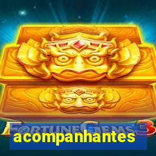 acompanhantes cruzeiro sp