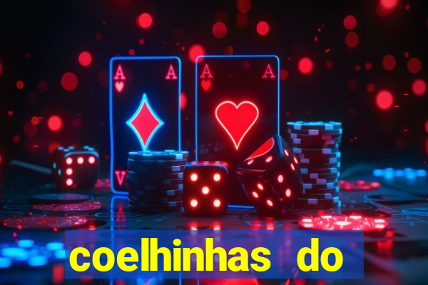 coelhinhas do brasil acompanhantes