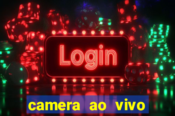 camera ao vivo terminal vila nova cachoeirinha