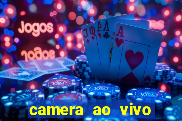 camera ao vivo terminal vila nova cachoeirinha
