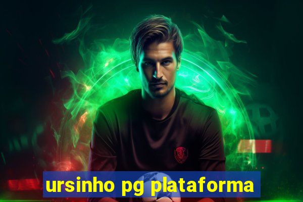 ursinho pg plataforma