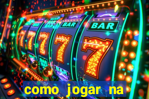 como jogar na lotinha do jogo do bicho