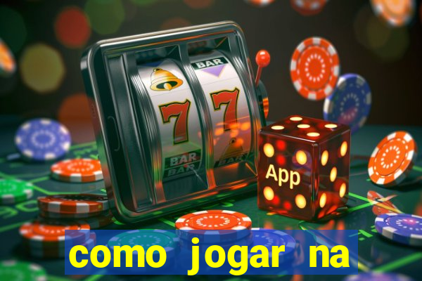 como jogar na lotinha do jogo do bicho