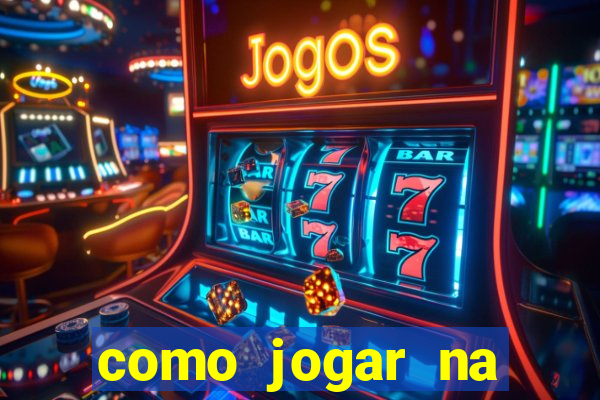 como jogar na lotinha do jogo do bicho