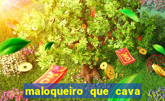 maloqueiro que cava sua própria cova portal zacarias