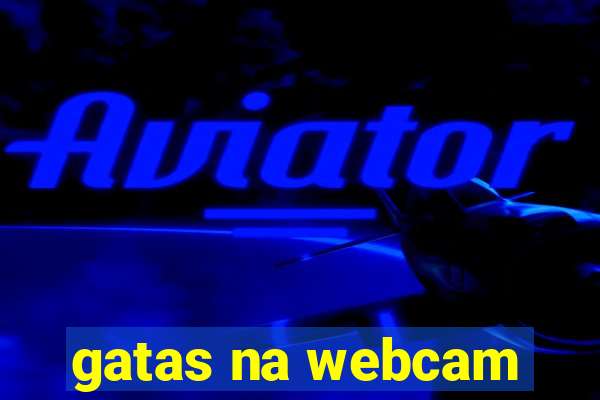 gatas na webcam