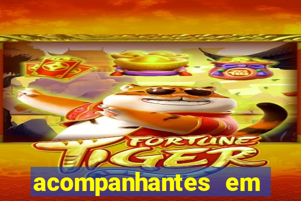 acompanhantes em porto alegre zona norte