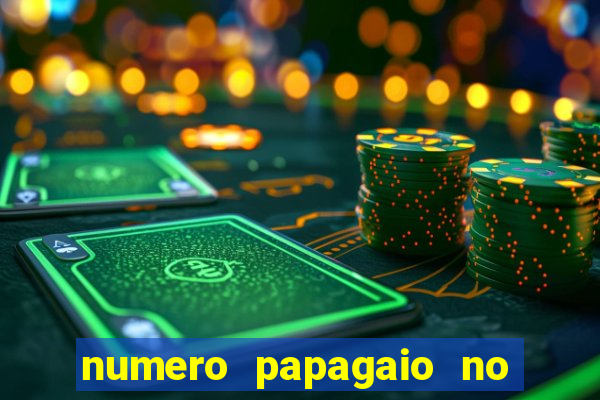 numero papagaio no jogo do bicho