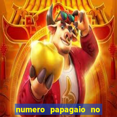 numero papagaio no jogo do bicho