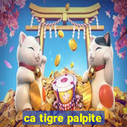 ca tigre palpite