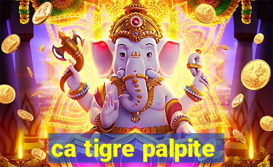 ca tigre palpite
