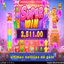 ultimas noticias do galo