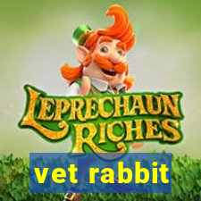 vet rabbit