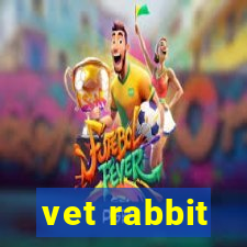 vet rabbit