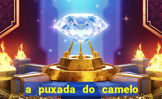 a puxada do camelo no jogo do bicho