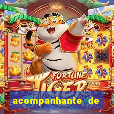 acompanhante de luxo porto ferreira