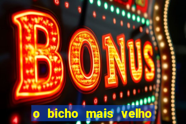 o bicho mais velho da loteria dos sonhos